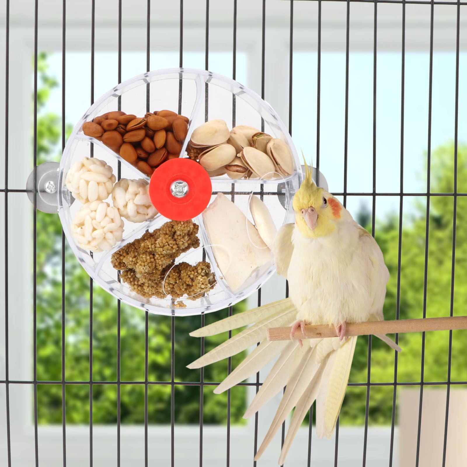 Wontee Bird Foraging System multi-chamber food box keeps parrots curious and stimulated