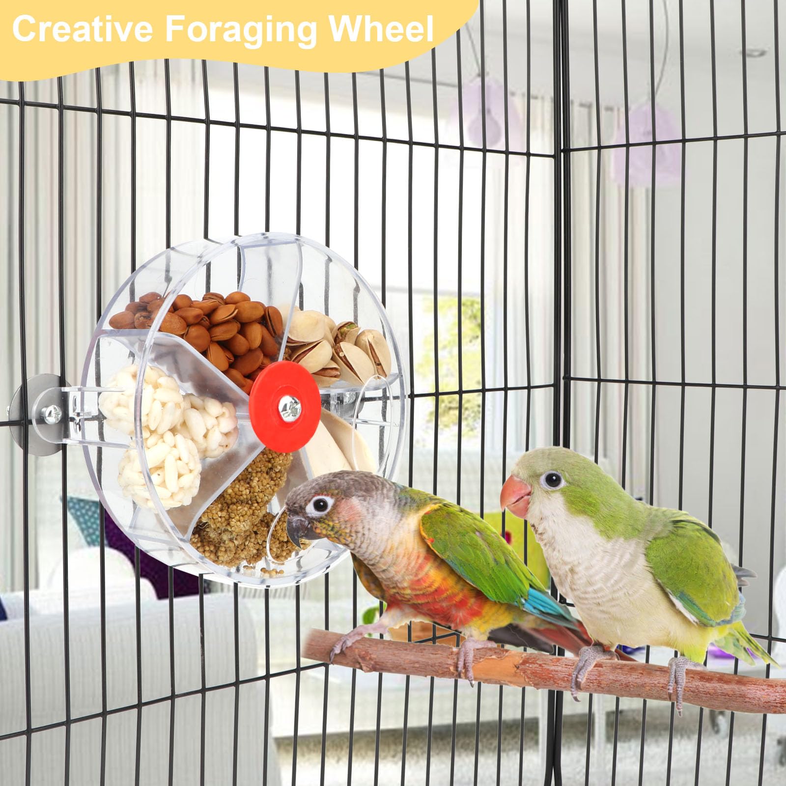 Wontee Bird Foraging System parrot training toy demonstrates rotating mechanism for skills