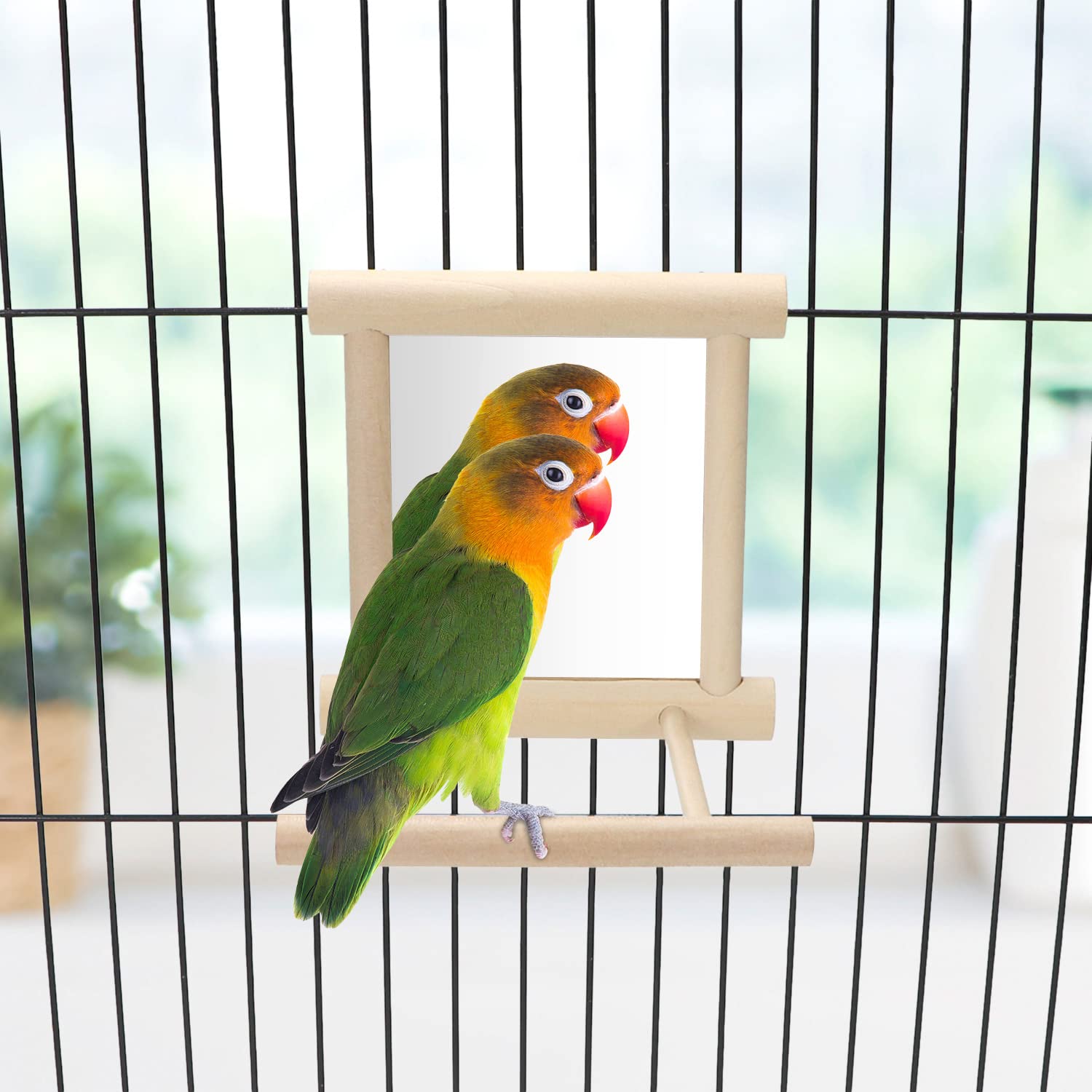 Wontee bird mirror with perch front view supports social interaction and self-talk