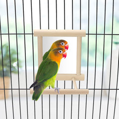 Wontee bird mirror with perch front view supports social interaction and self-talk