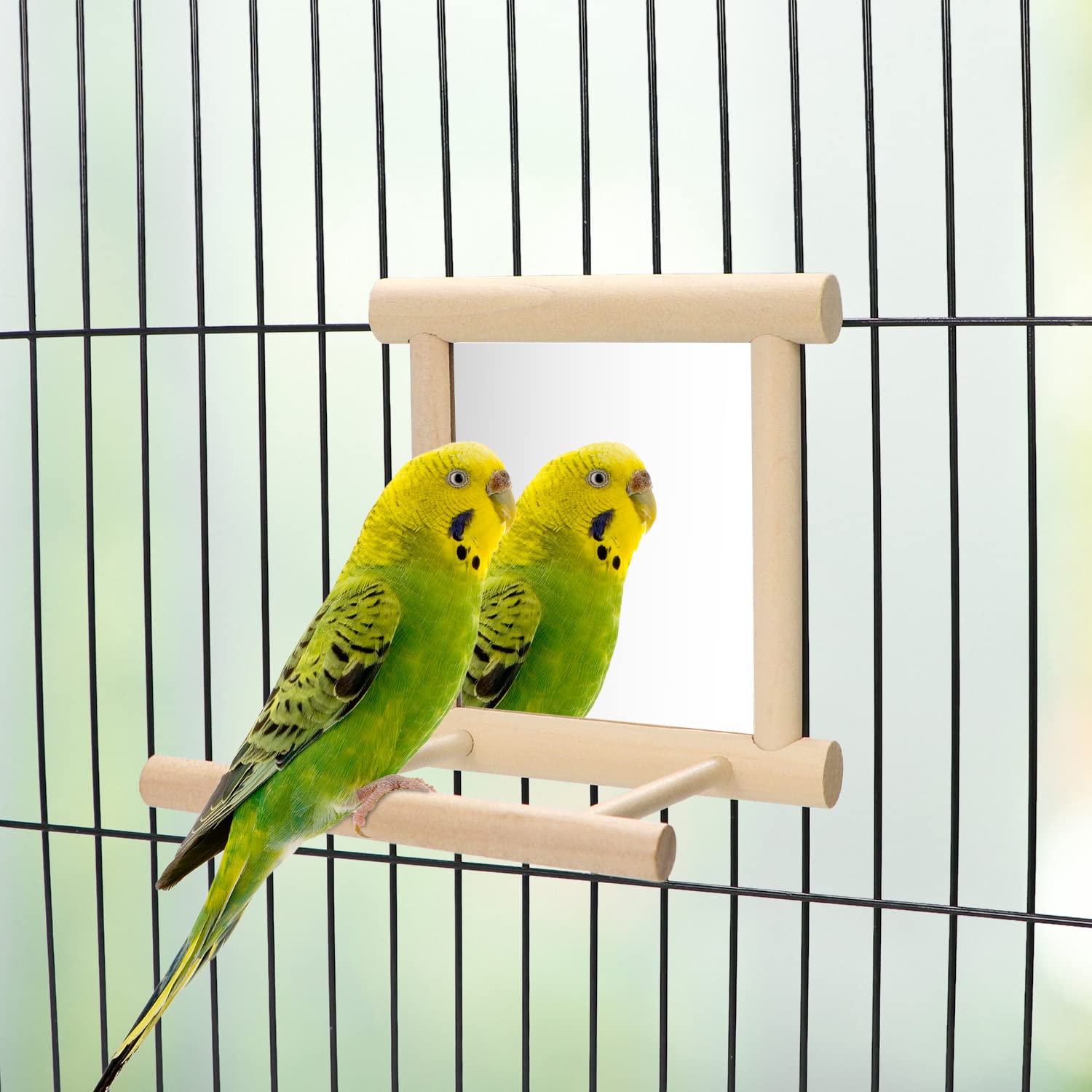 Wontee bird mirror with perch inside cage for enrichment and hours of activity