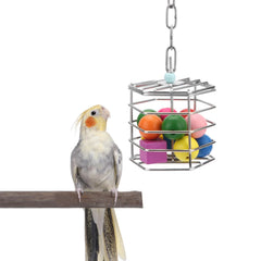 Wontee bird stainless steel foraging feeder hanging—durable design for interactive feeding.