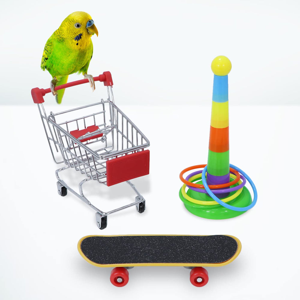 Wontee Bird Toys skateboard toy encourages movement and exploration for parrots