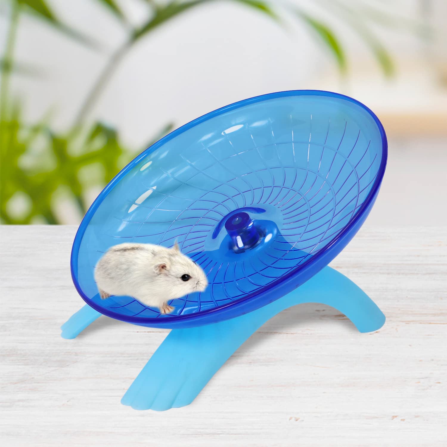 Wontee hamster flying saucer blue front view highlights sleek design and easy access