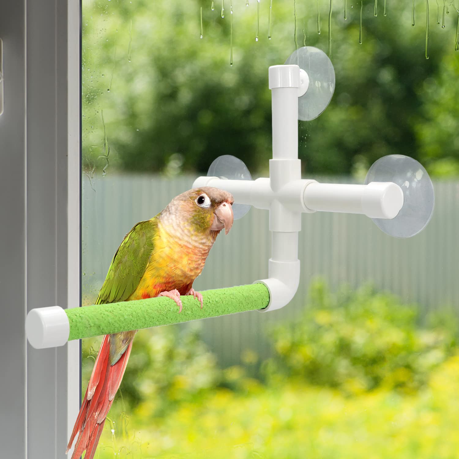 Wontee parrot perch 9.04x7.59x7.27-inch fits compact spaces.