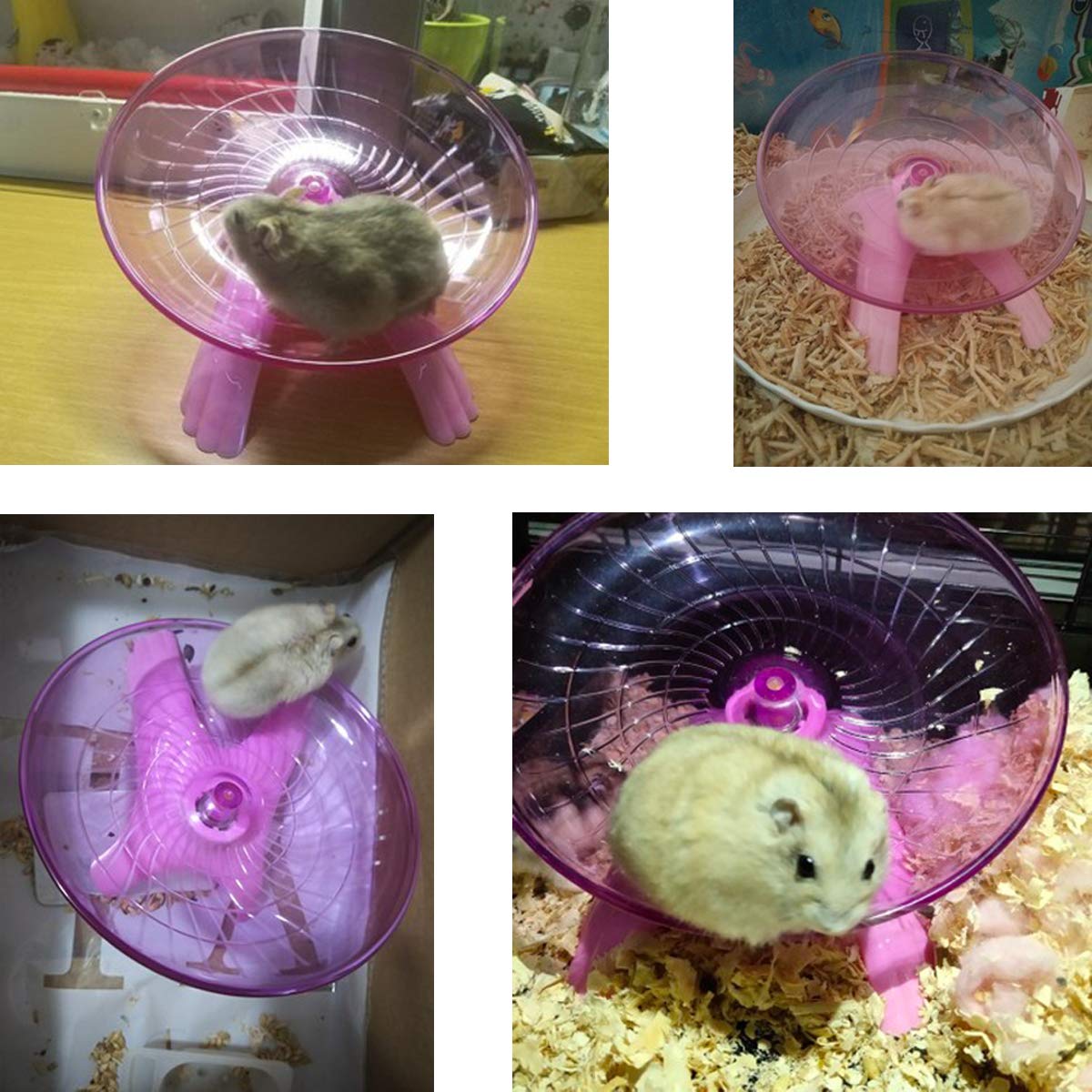 Wontee small animals exercise accessory – enrichment for play and fitness at home.