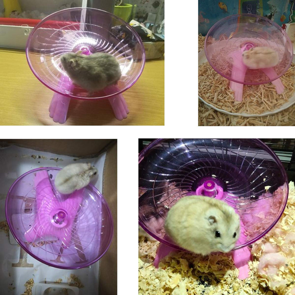 Wontee small animals exercise accessory – enrichment for play and fitness at home.