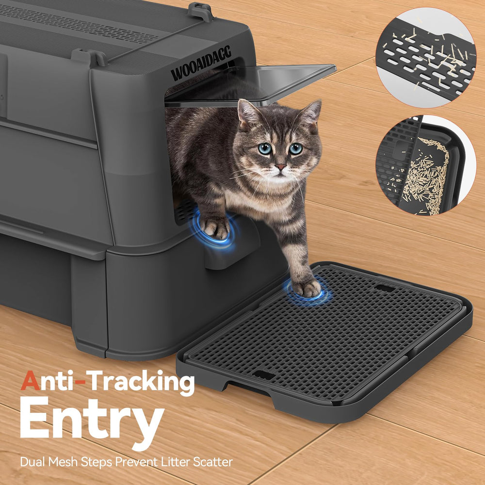 Wooaidagg XL litter box interior is roomy for cats of all sizes.