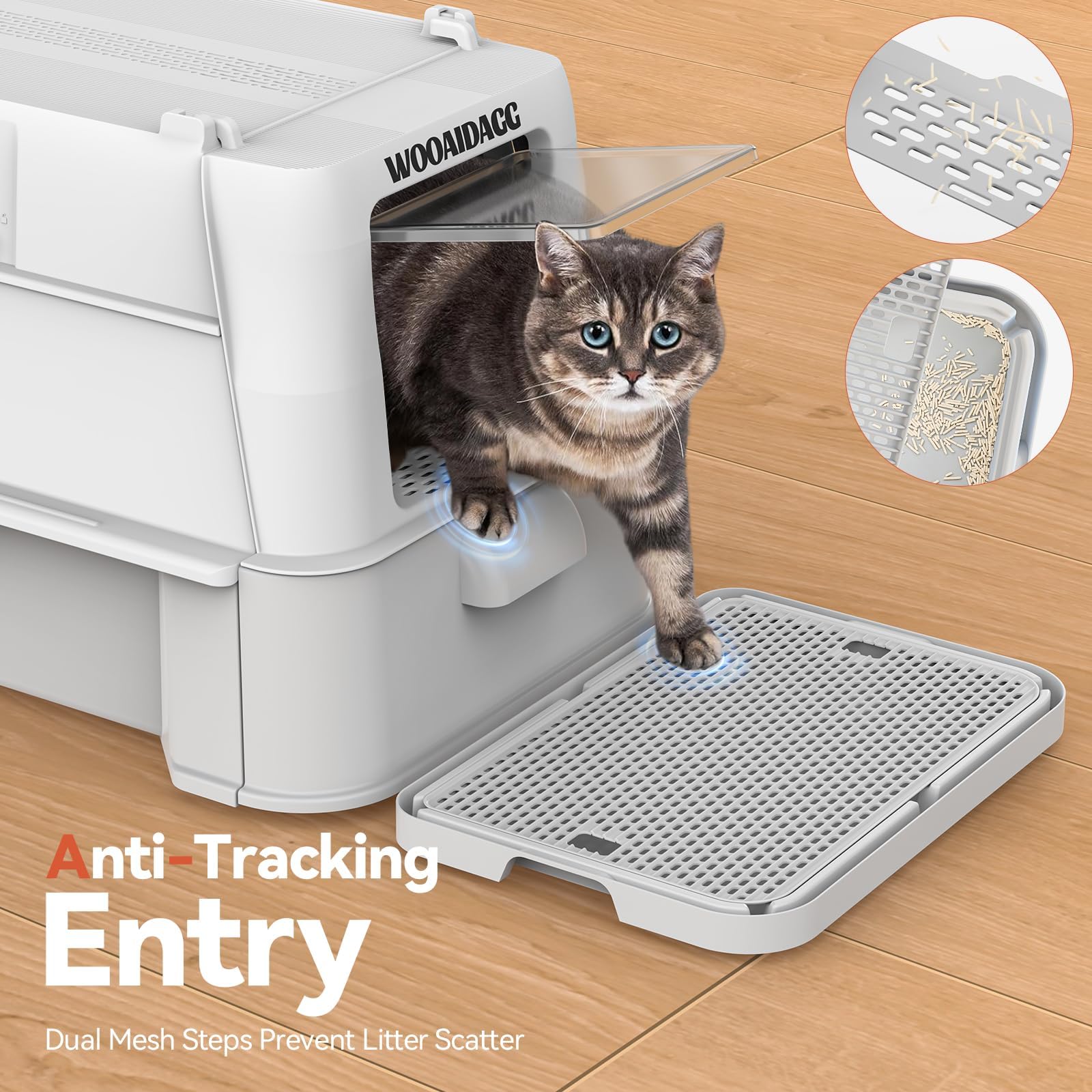 Wooaidagg-xl-size-spacious-interior demonstrates roomy space for large cats.