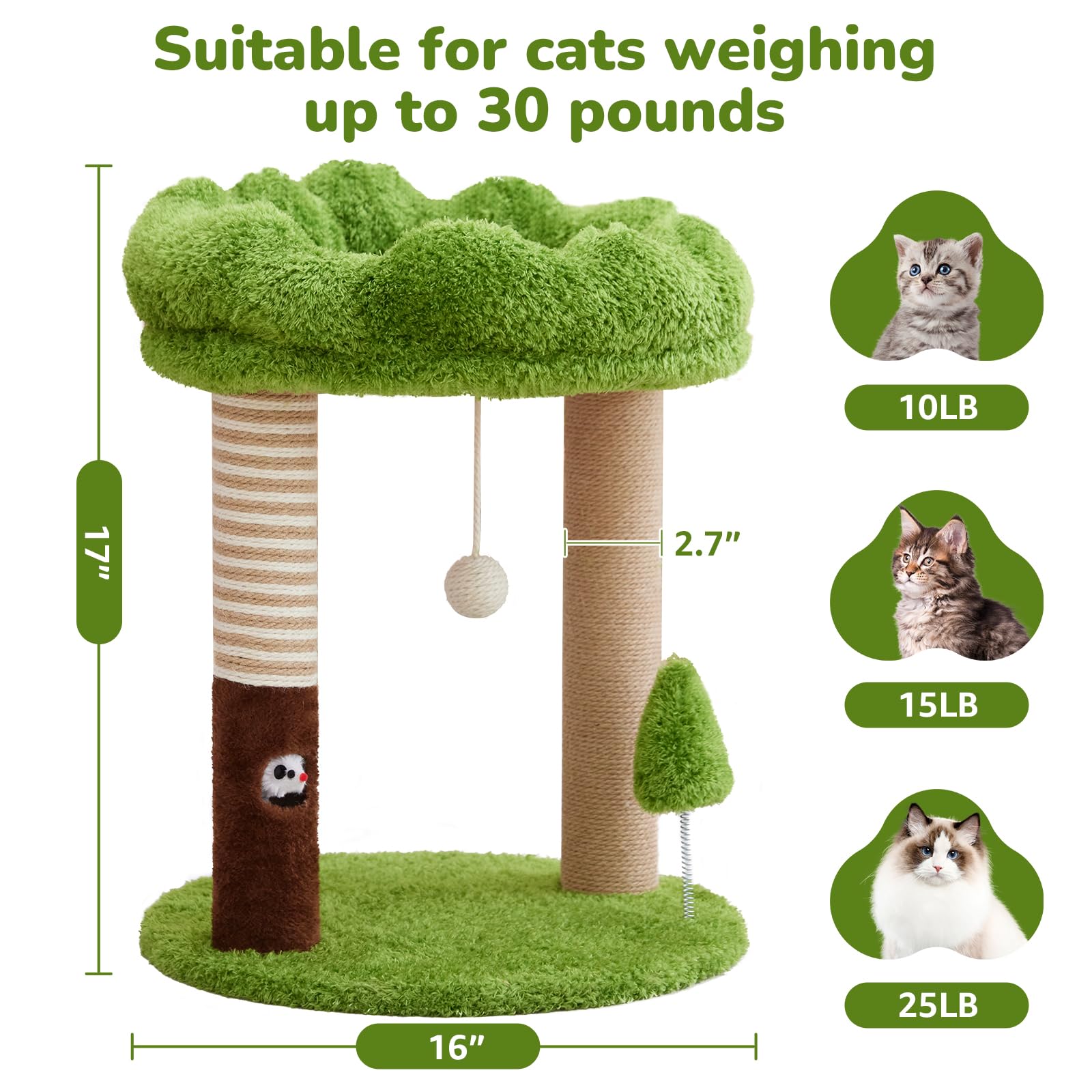 Woochpet cat bed perch top green provides cozy resting spot for cats.
