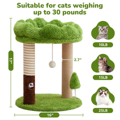 Woochpet cat bed perch top green provides cozy resting spot for cats.