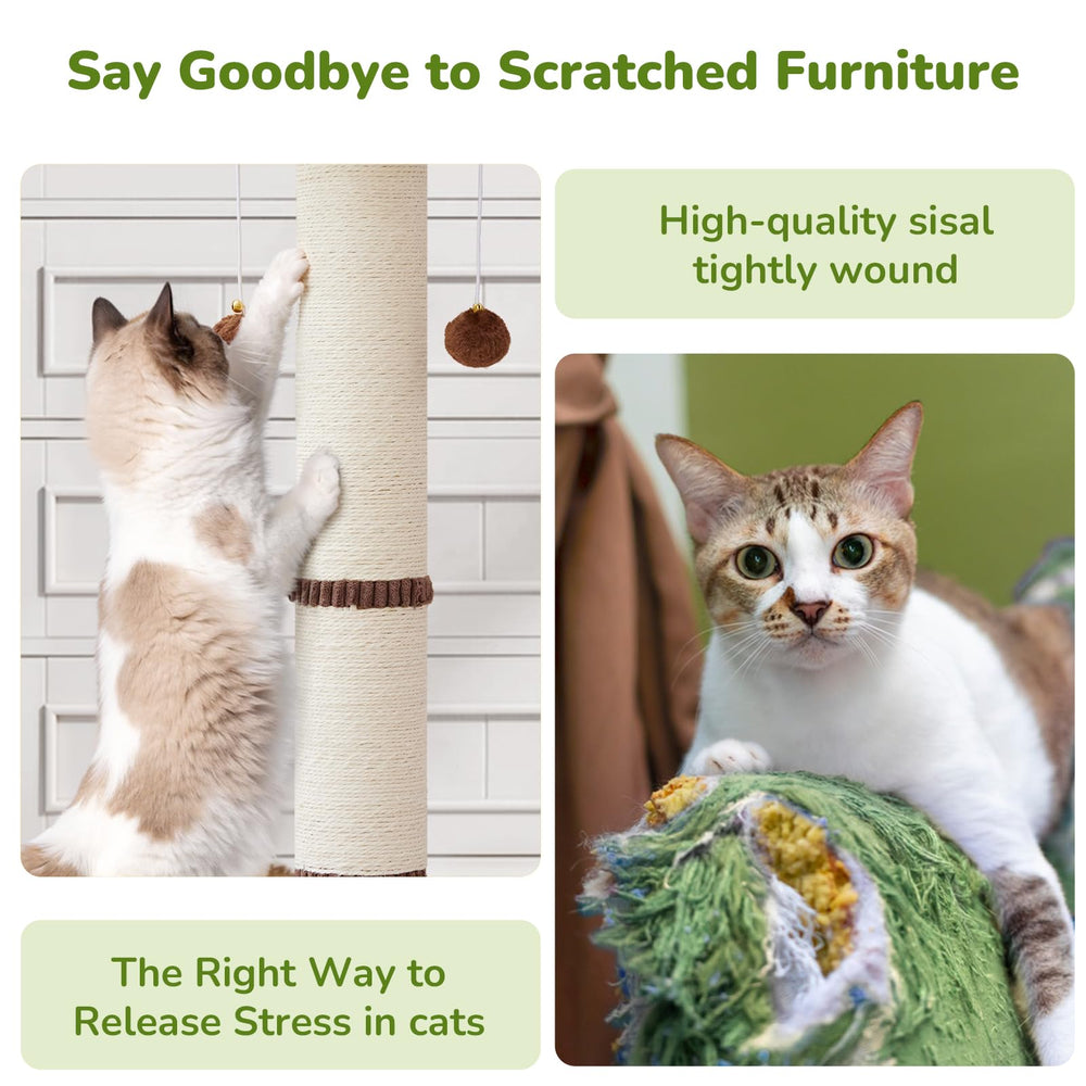 Woochpet top perch provides a comfy resting spot after play