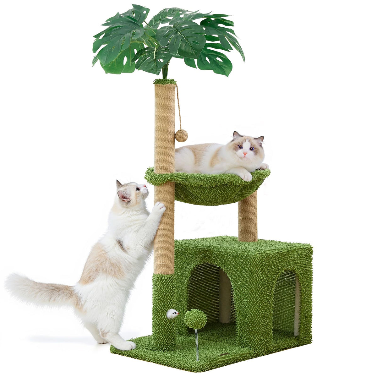 Woochpet cat tree top condo offers a secure indoor retreat for napping.