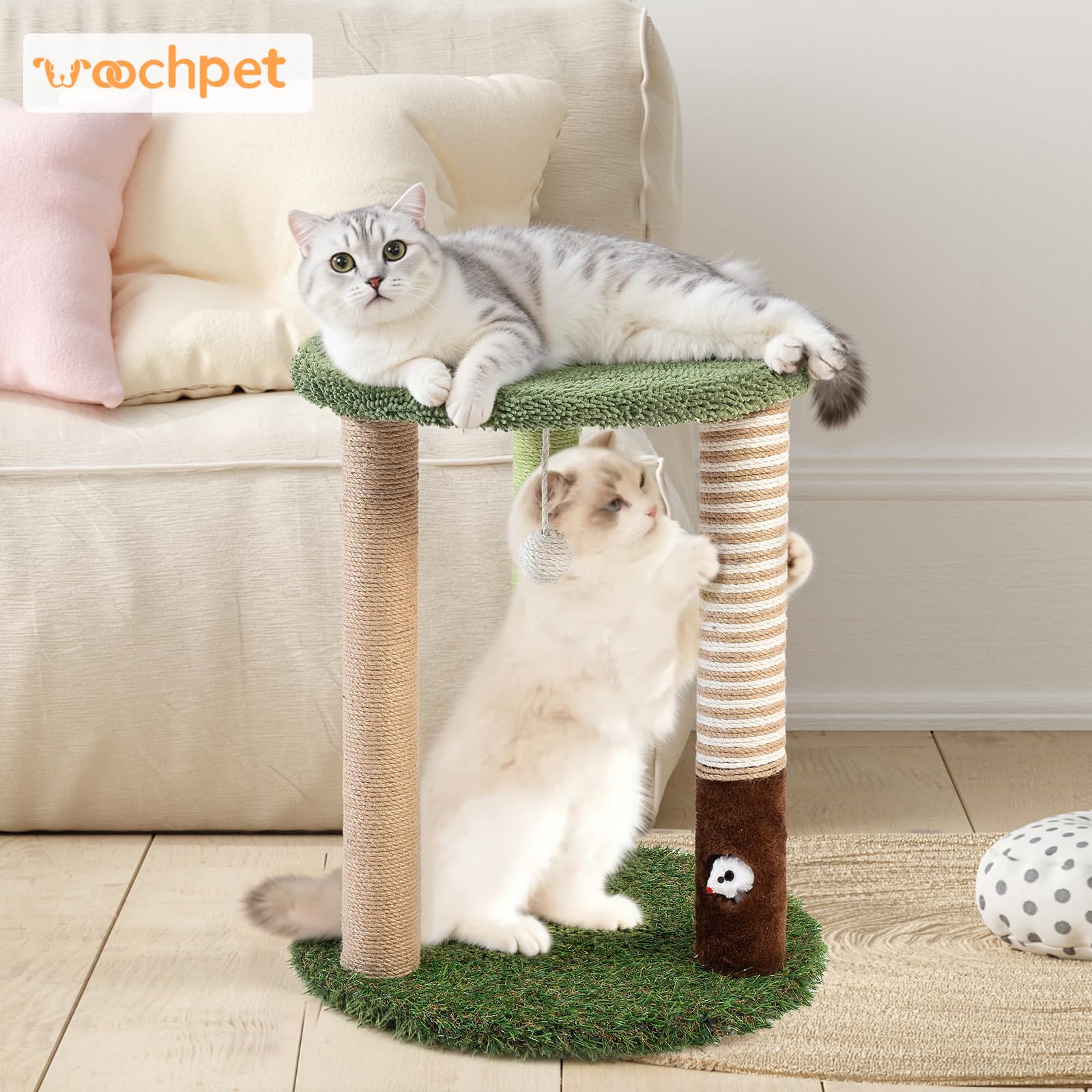 Woochpet cat tree green perch bed provides cozy resting spot