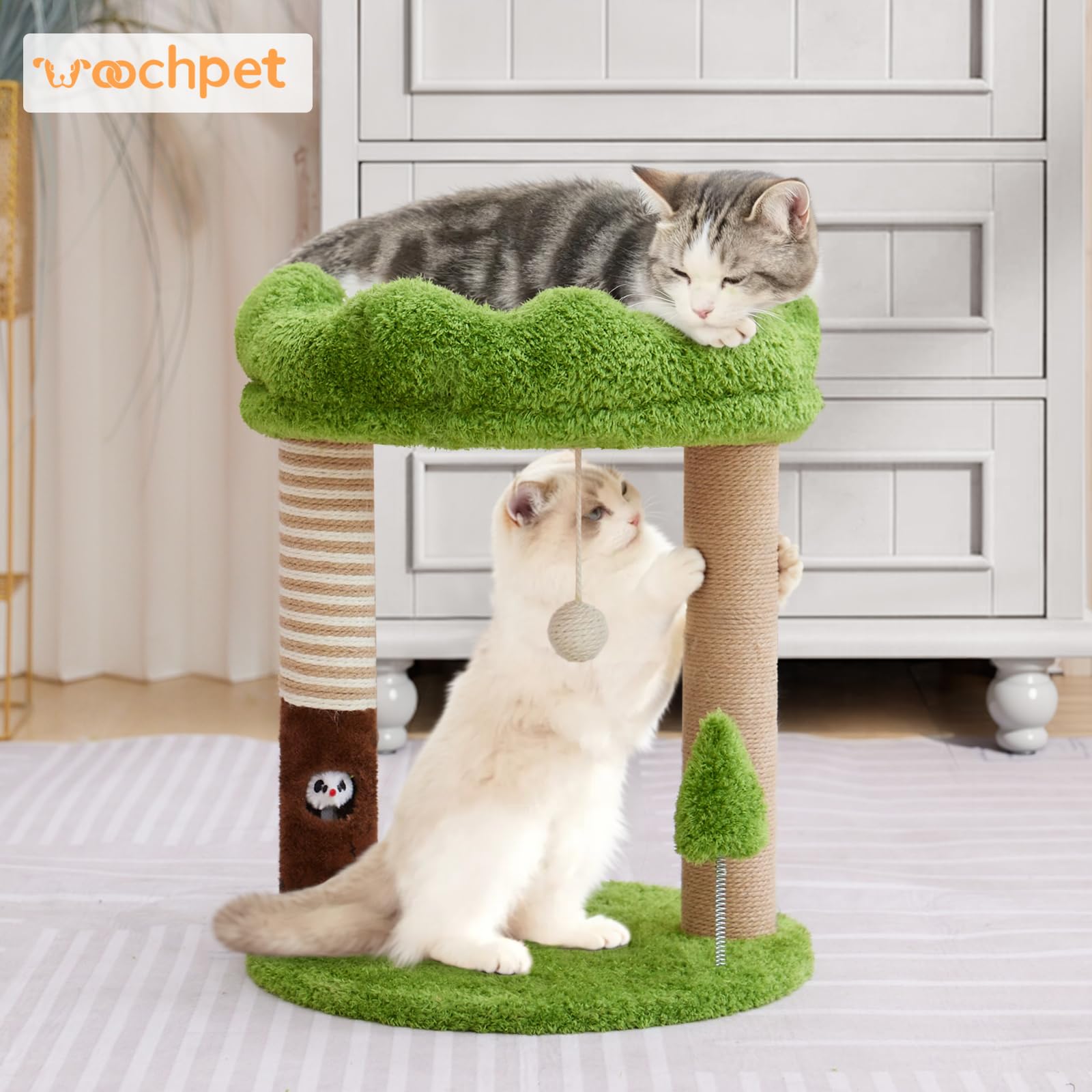 Woochpet forest-style design green blends with home decor while entertaining pets.