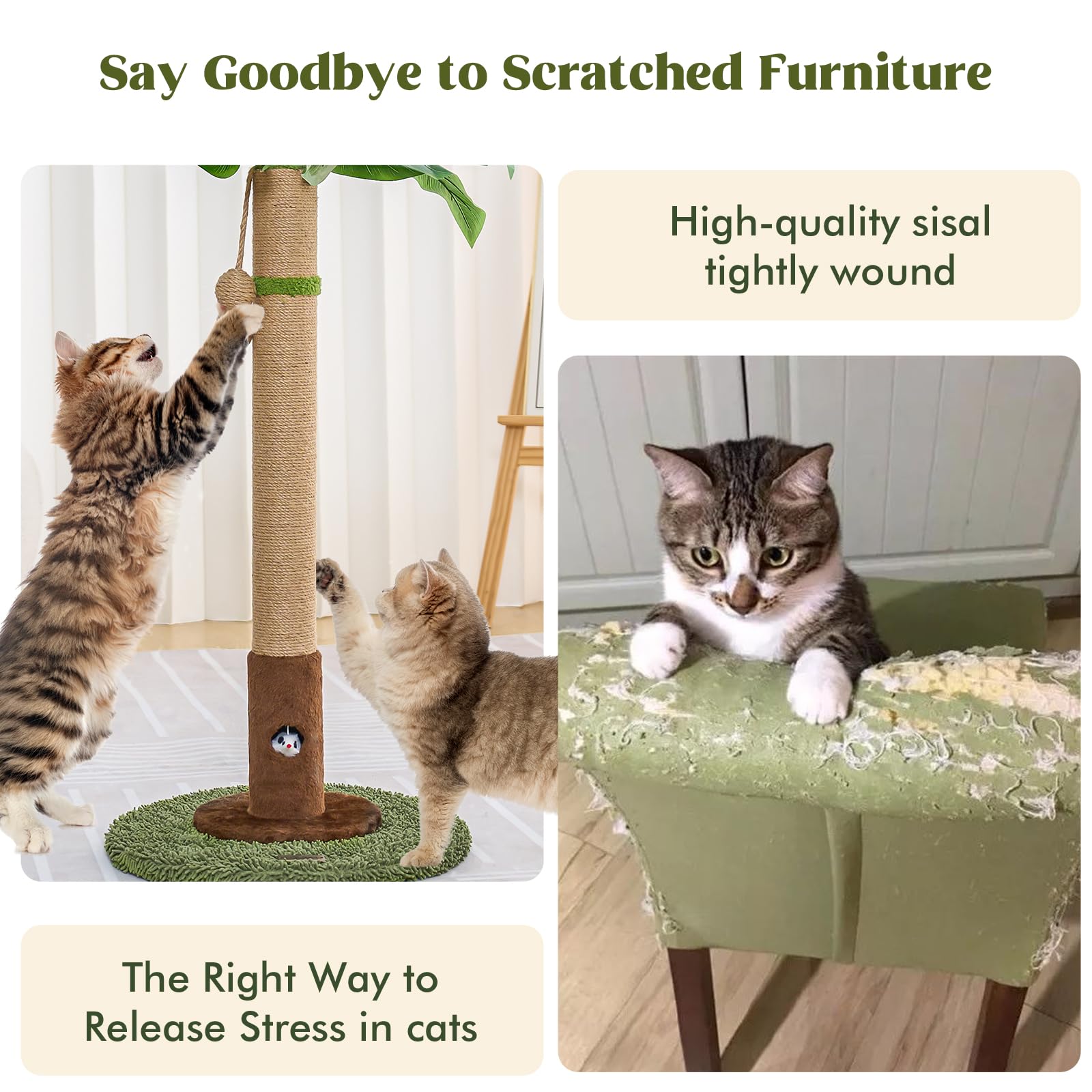 Woochpet sturdy base provides stable scratching for busy indoor cats.