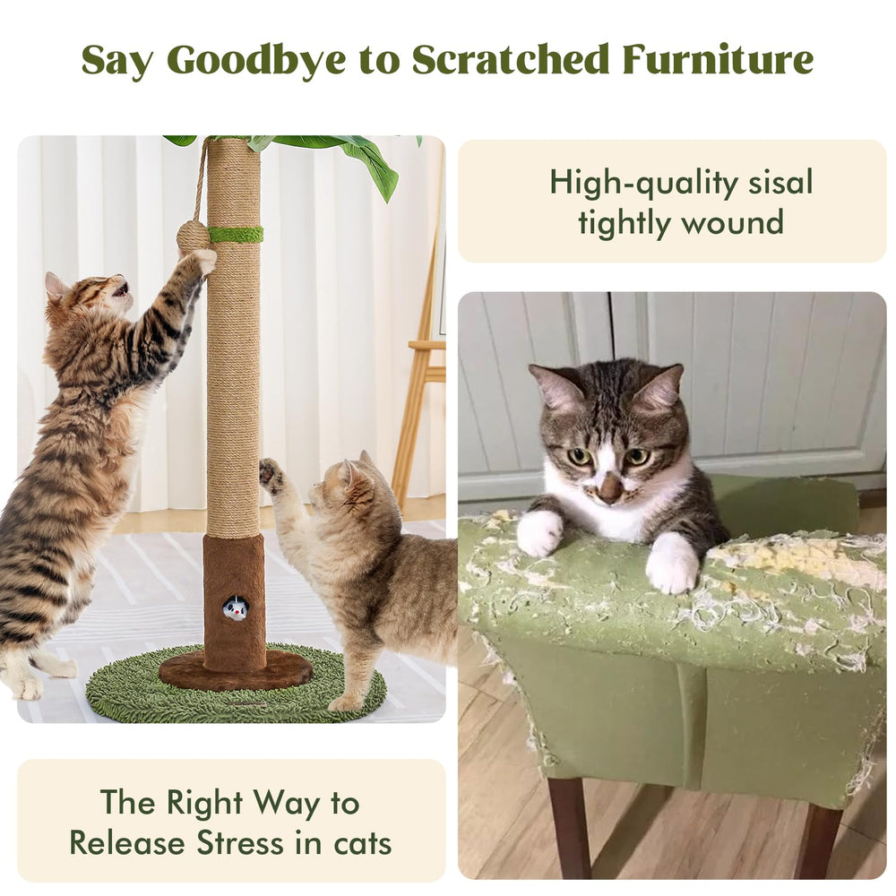 Woochpet sturdy base provides stable scratching for busy indoor cats.