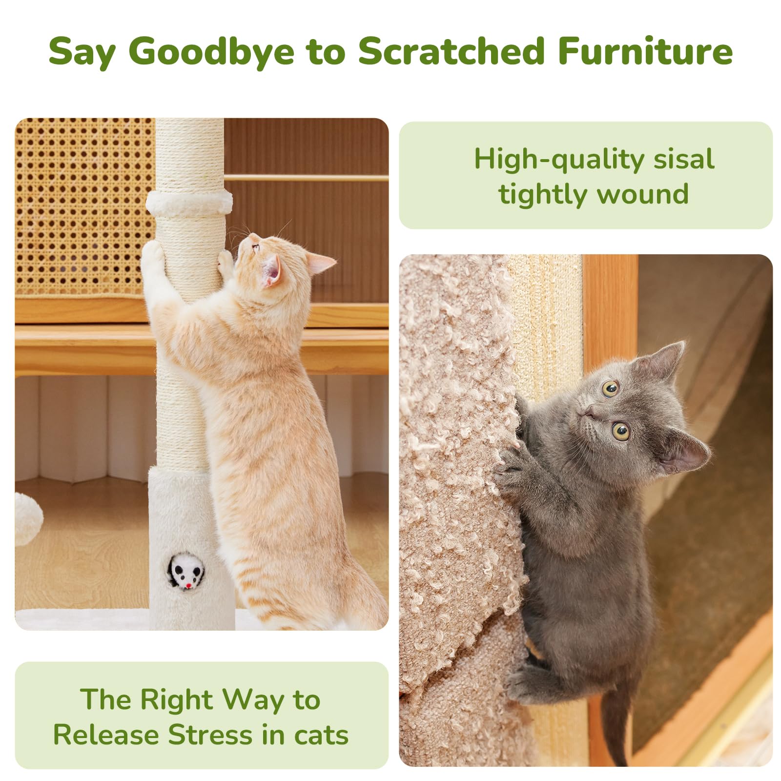 Woochpet spring-loaded plush ball encourages chasing and batting