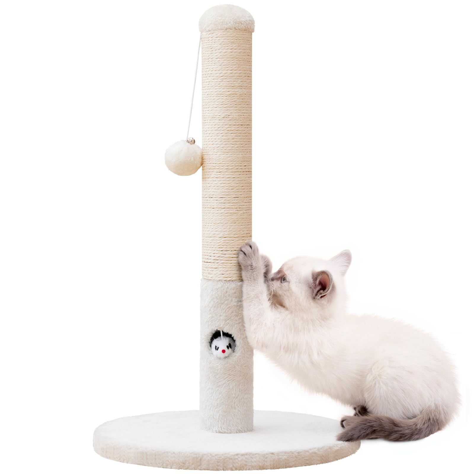 Woochpet kitten-sized design offers comfortable stretching and safe exercise.
