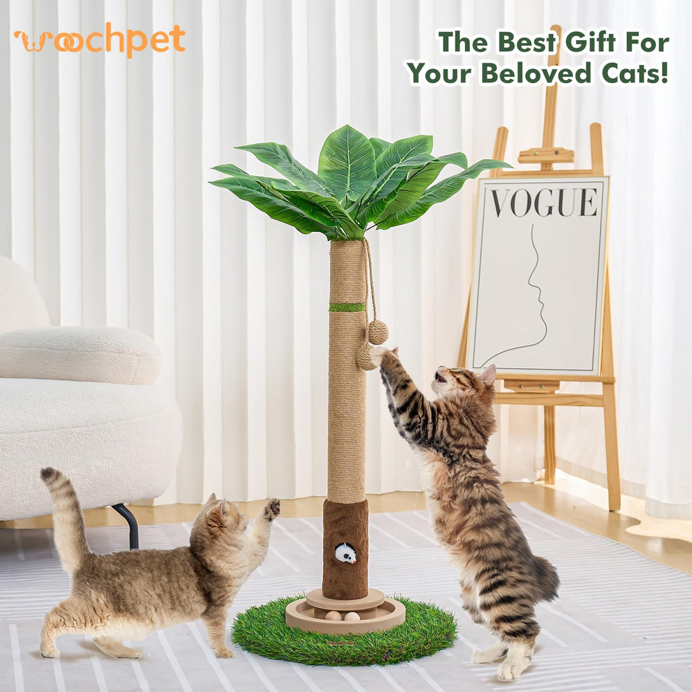 Woochpet kittens adults friendly design suits indoor play.