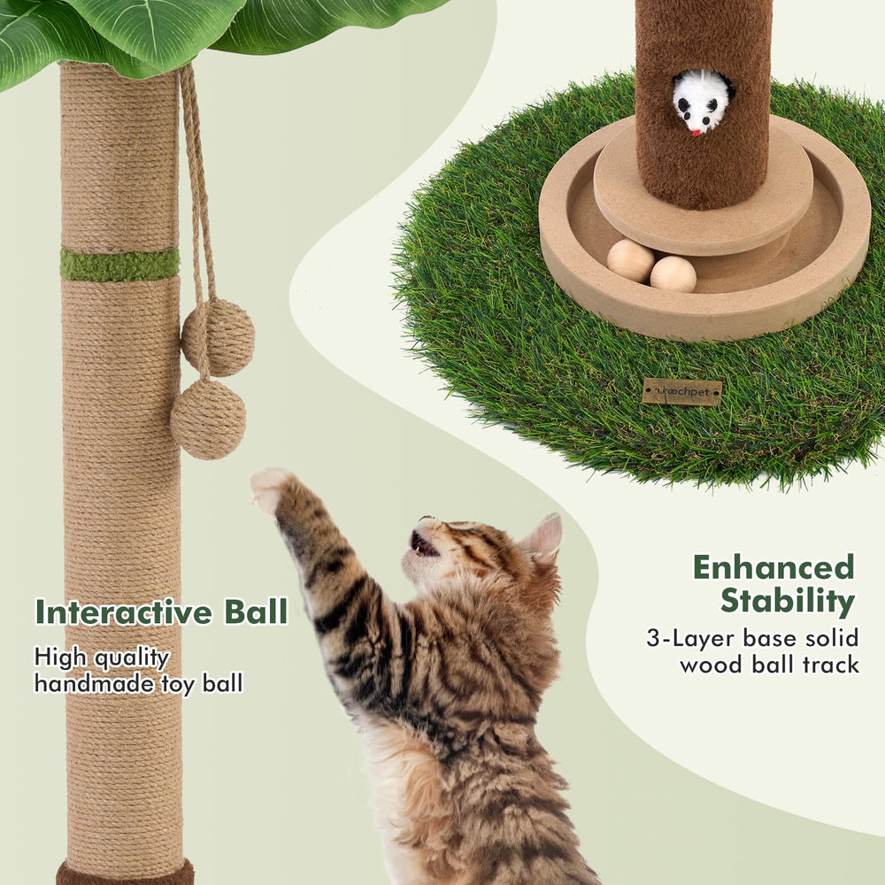 Woochpet natural sisal claws encourages healthy scratching habits.