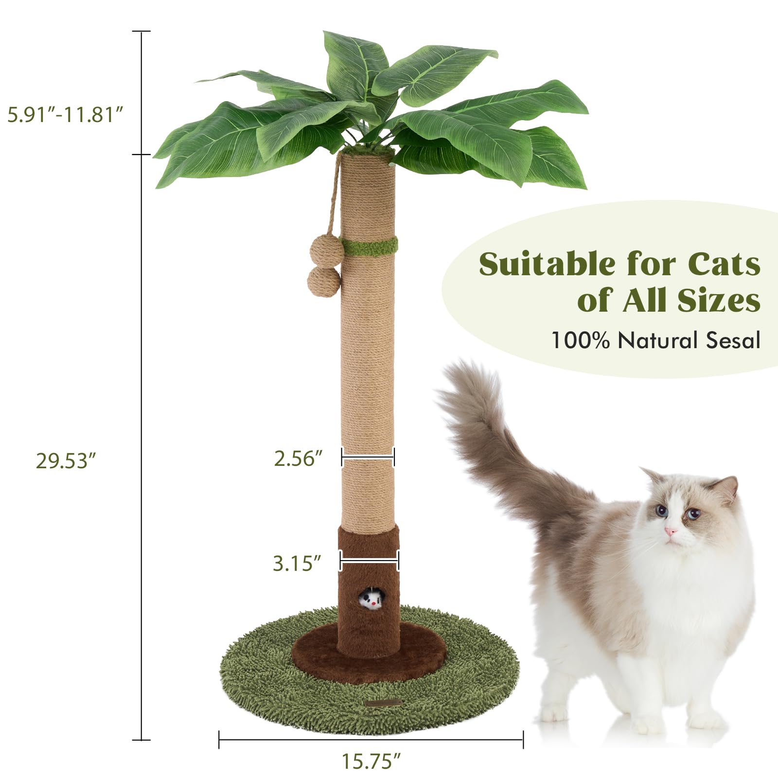 Woochpet textured sisal rope supports natural scratching behavior in kittens.