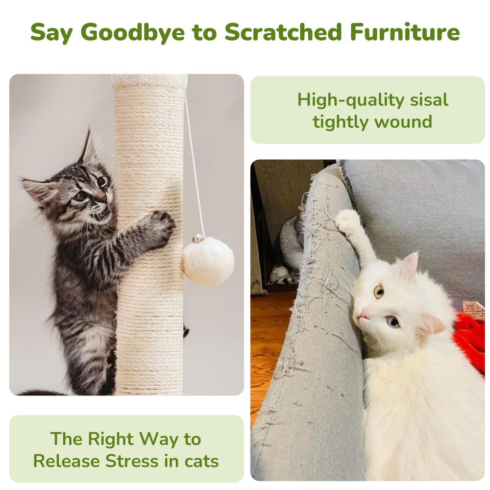 Woochpet sturdy base ensures stable scratching surface during vigorous activity.