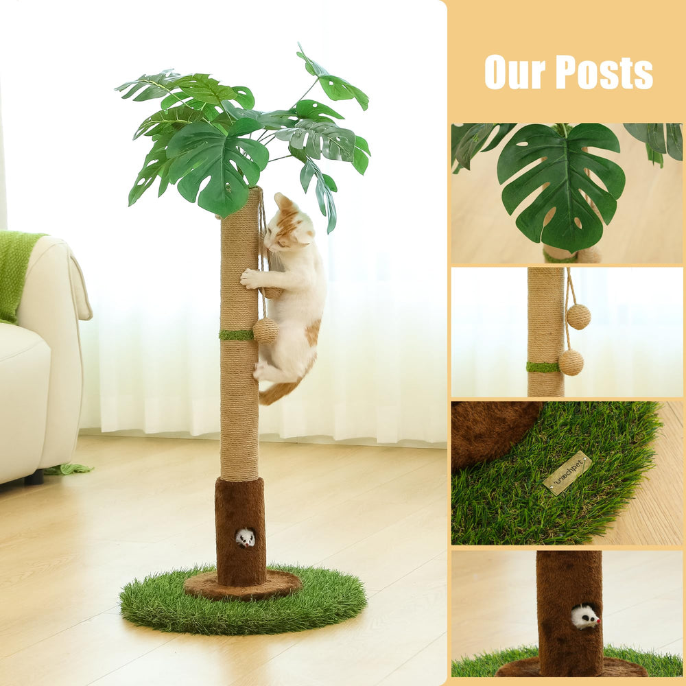 Woochpet tropical tree style scratch post enhances indoor play.