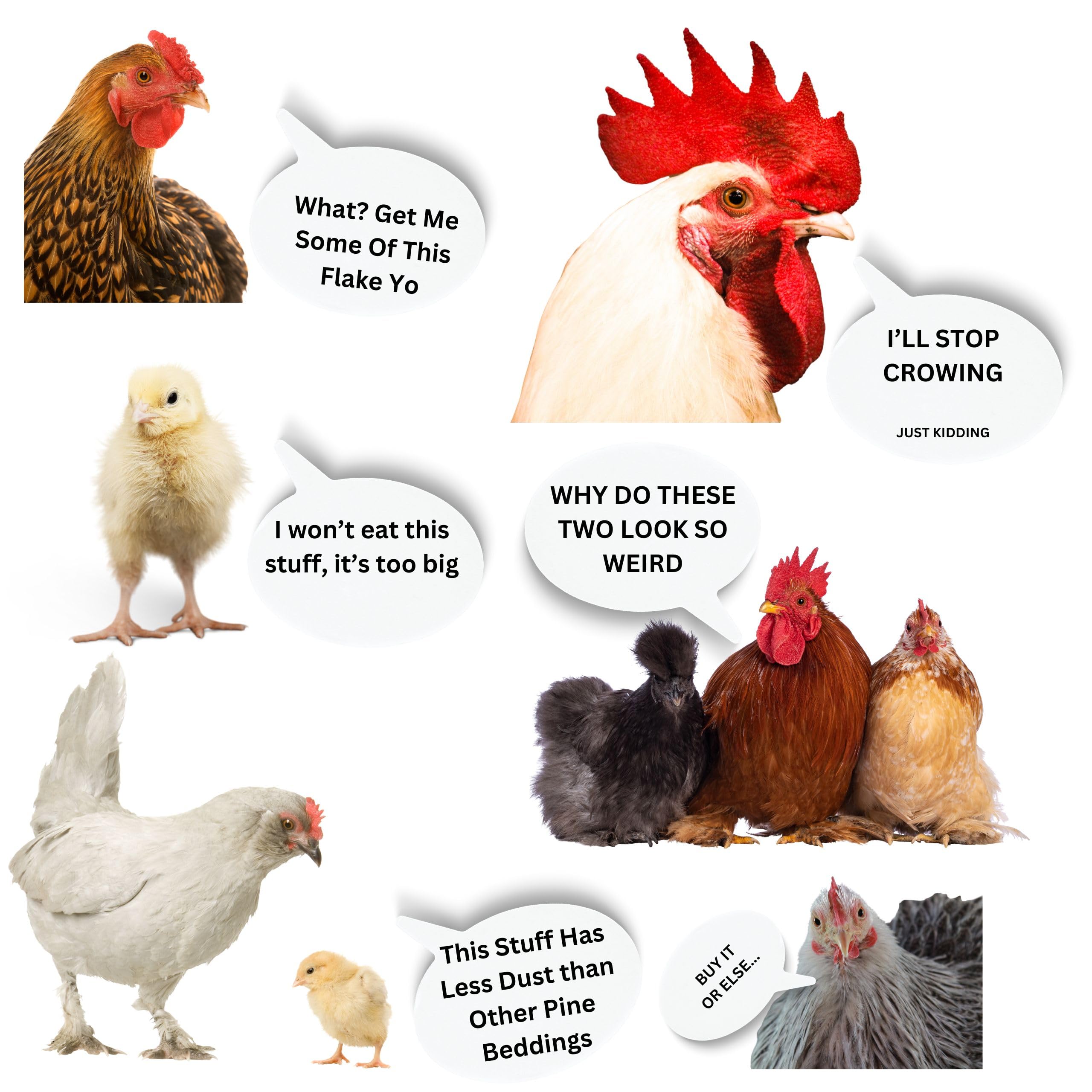 Wood Smith USA chicken coop bedding in a coop setting