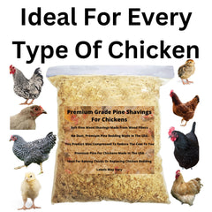 Wood Smith USA premium pine bedding odor-control scene demonstrates fresh coop