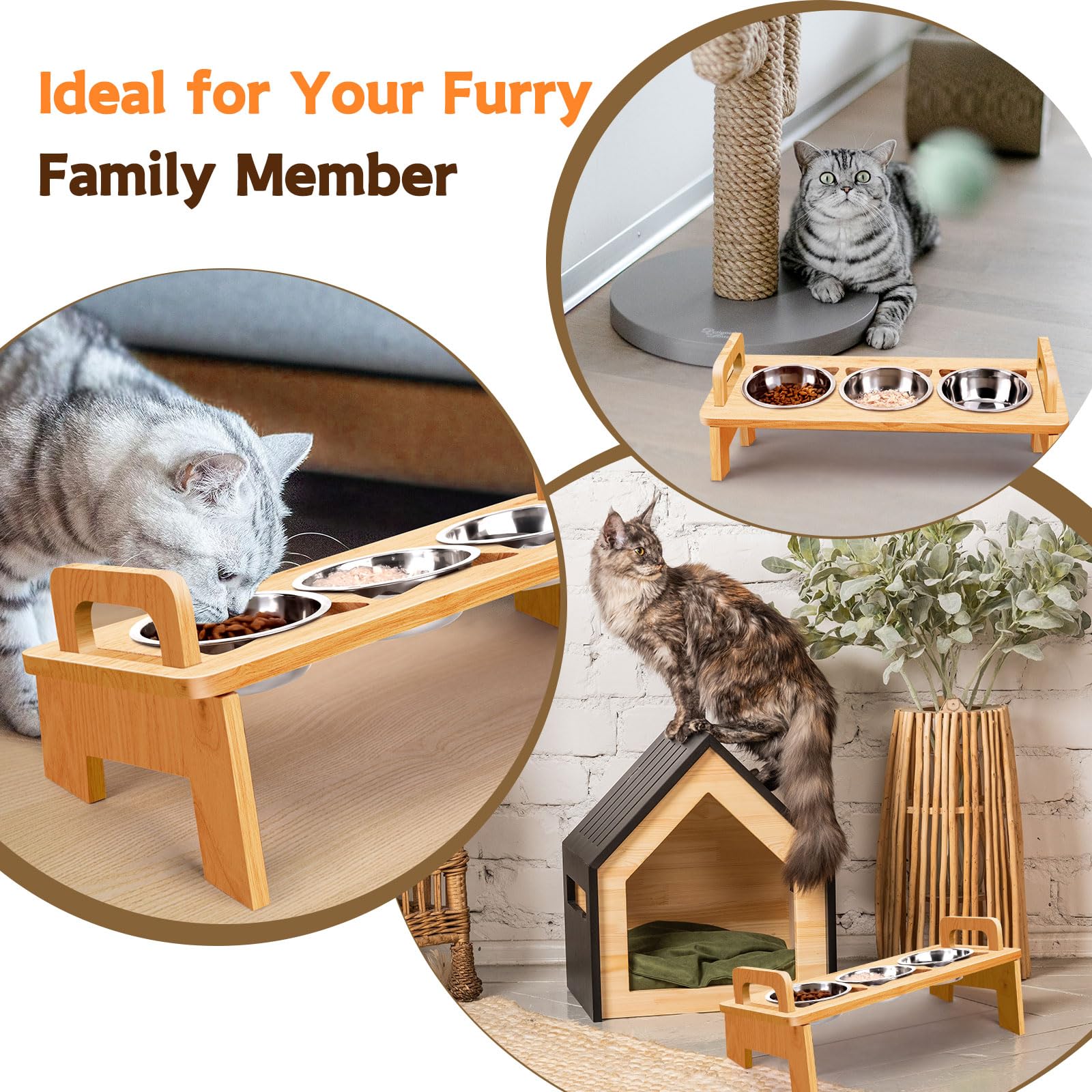 Woodever cat-food-water-bowl-set suits homes with small pets and contemporary décor.
