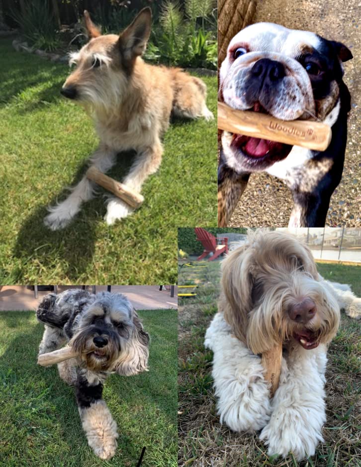 Woodies Dog Chews eco-packaging with coconut string signals sustainability.