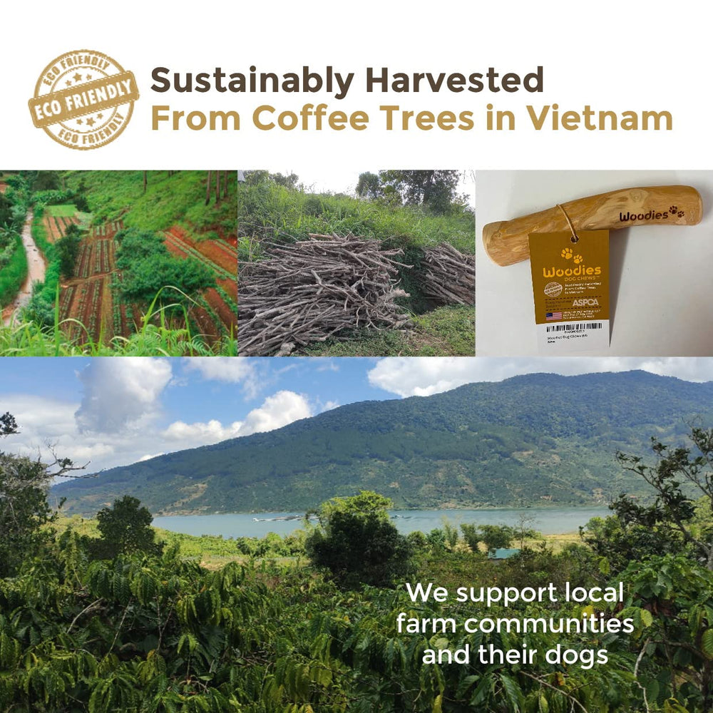 Woodies Dog Chews natural wood tone looks pleasing and safe for dogs to chew.