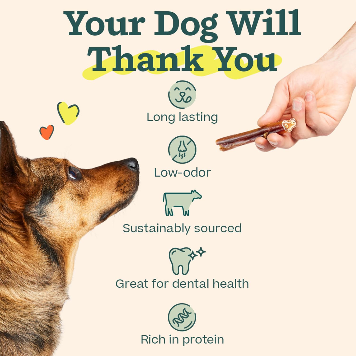 WOOF Bully Sticks shown as a training reward during playtime with a dog.