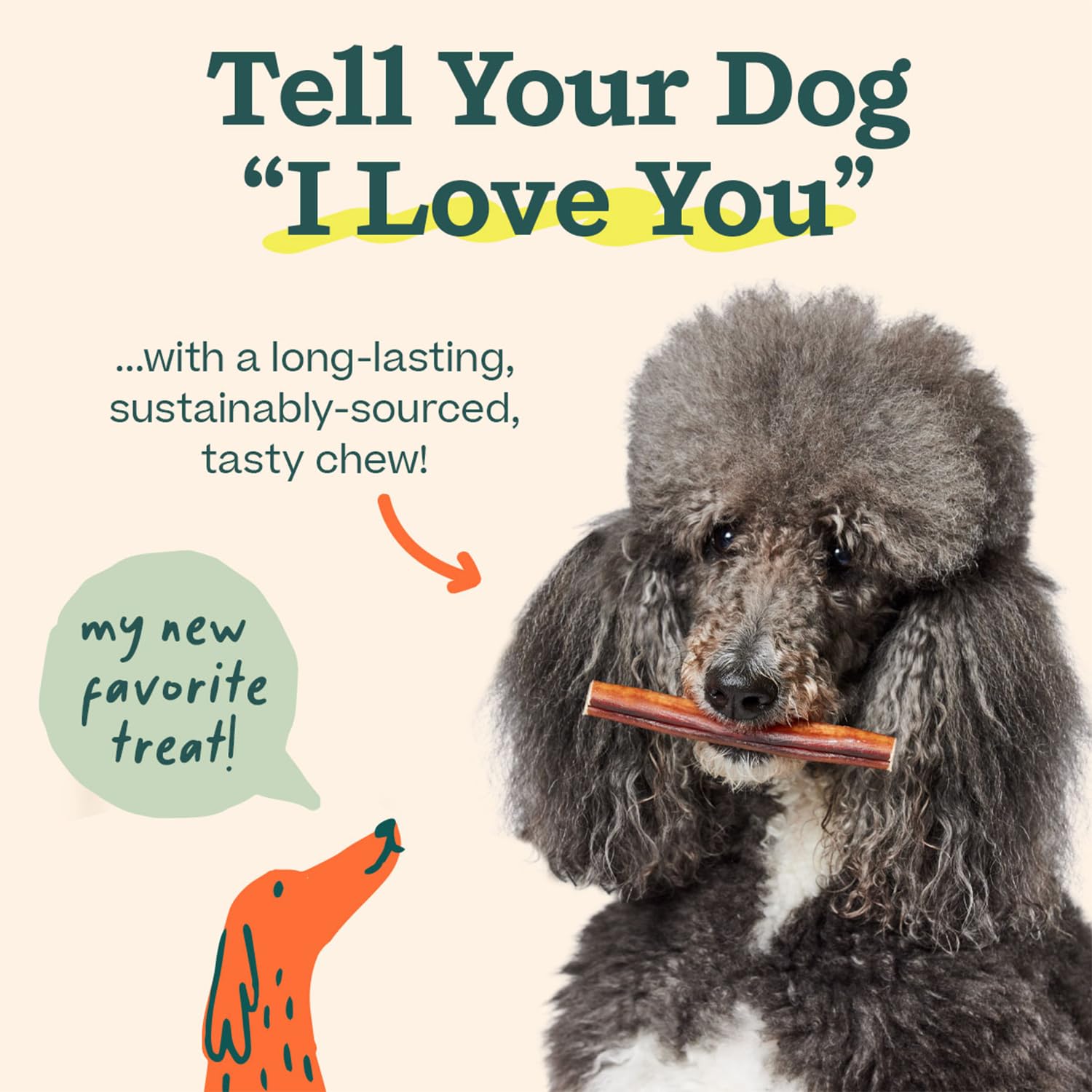 WOOF Bully Sticks Denver-designed product reflects thoughtful, dog-friendly enrichment.