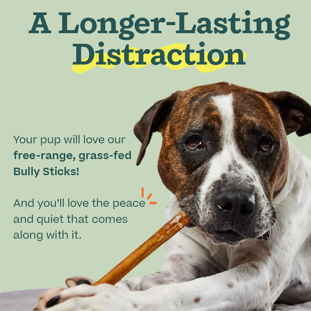 WOOF Bully Sticks free-range grass-fed beef for high-quality ingredients and taste.