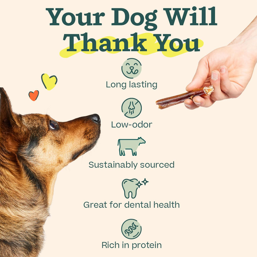 WOOF Bully Sticks odor-free design supports calmer chews with less aroma.