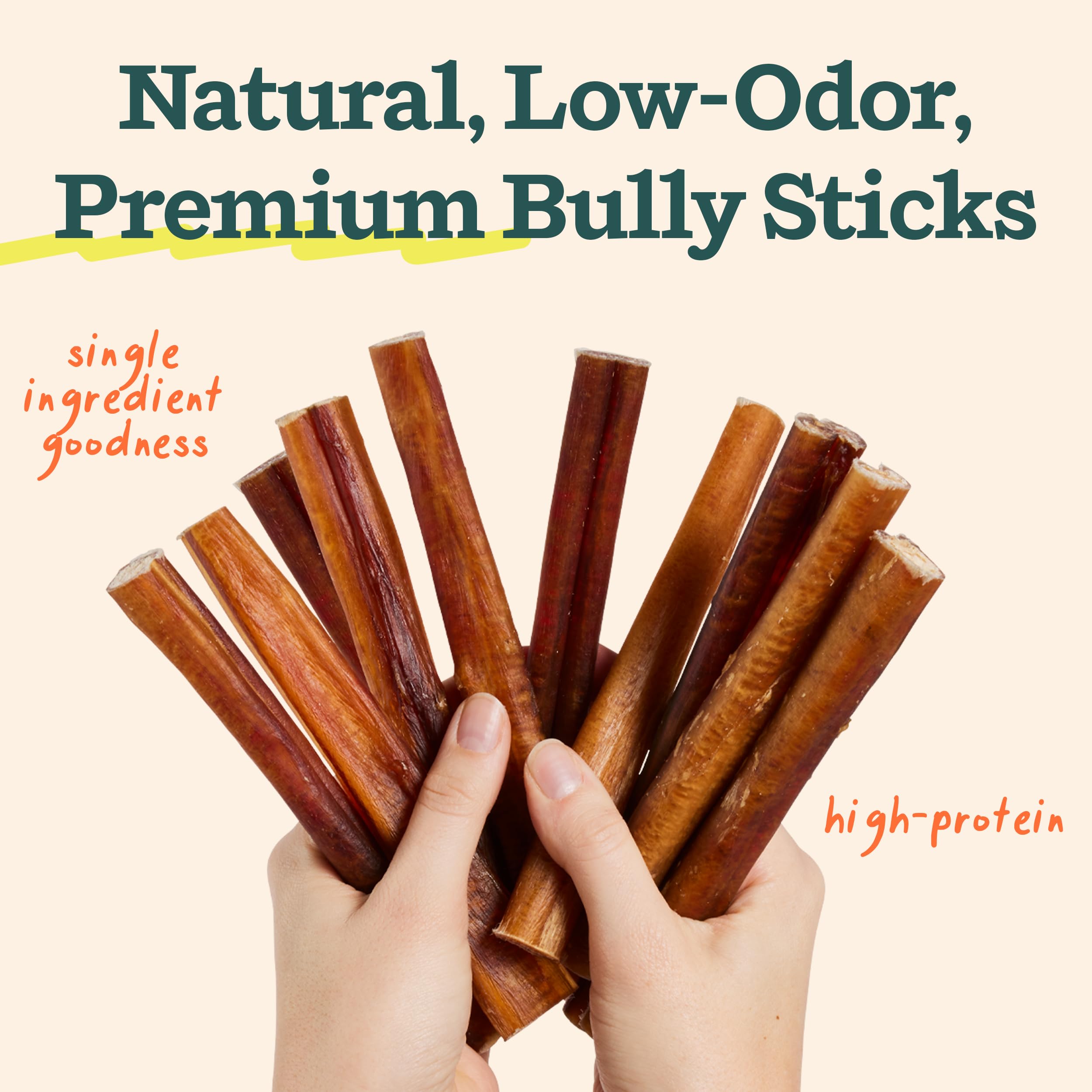 WOOF BullySafe assembly demonstrates easy setup for mess-free chew time.