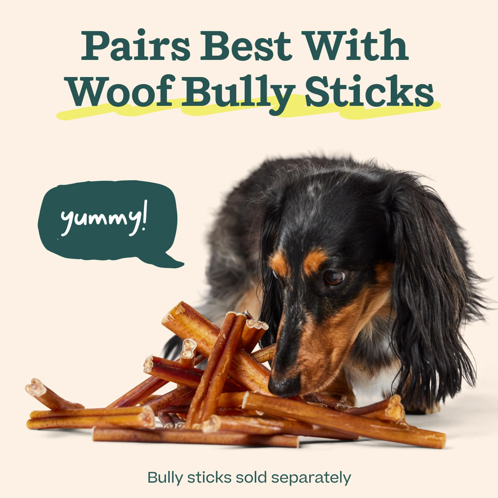 WOOF BullySafe Denver-design inspiration highlights thoughtful pet accessory engineering.