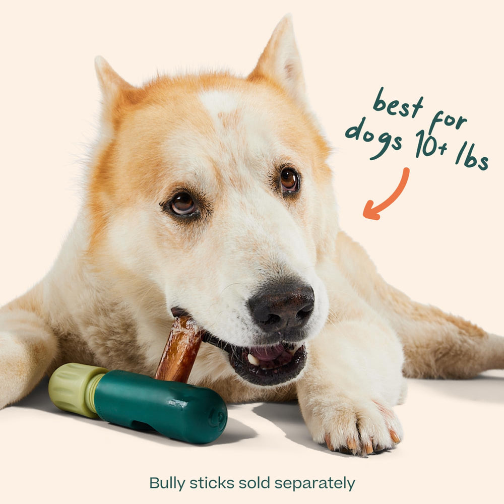 WOOF BullySafe keeps dogs engaged with safe chewing and reduced interruptions.