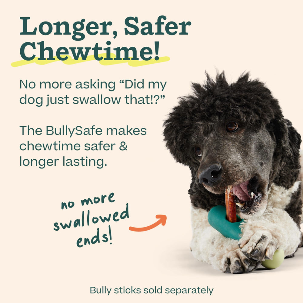WOOF BullySafe in-action chew shows longer-lasting playtime during daily walks.