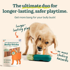 WOOF bullysticks 6-inch chews deliver savory satisfaction and long-lasting entertainment.