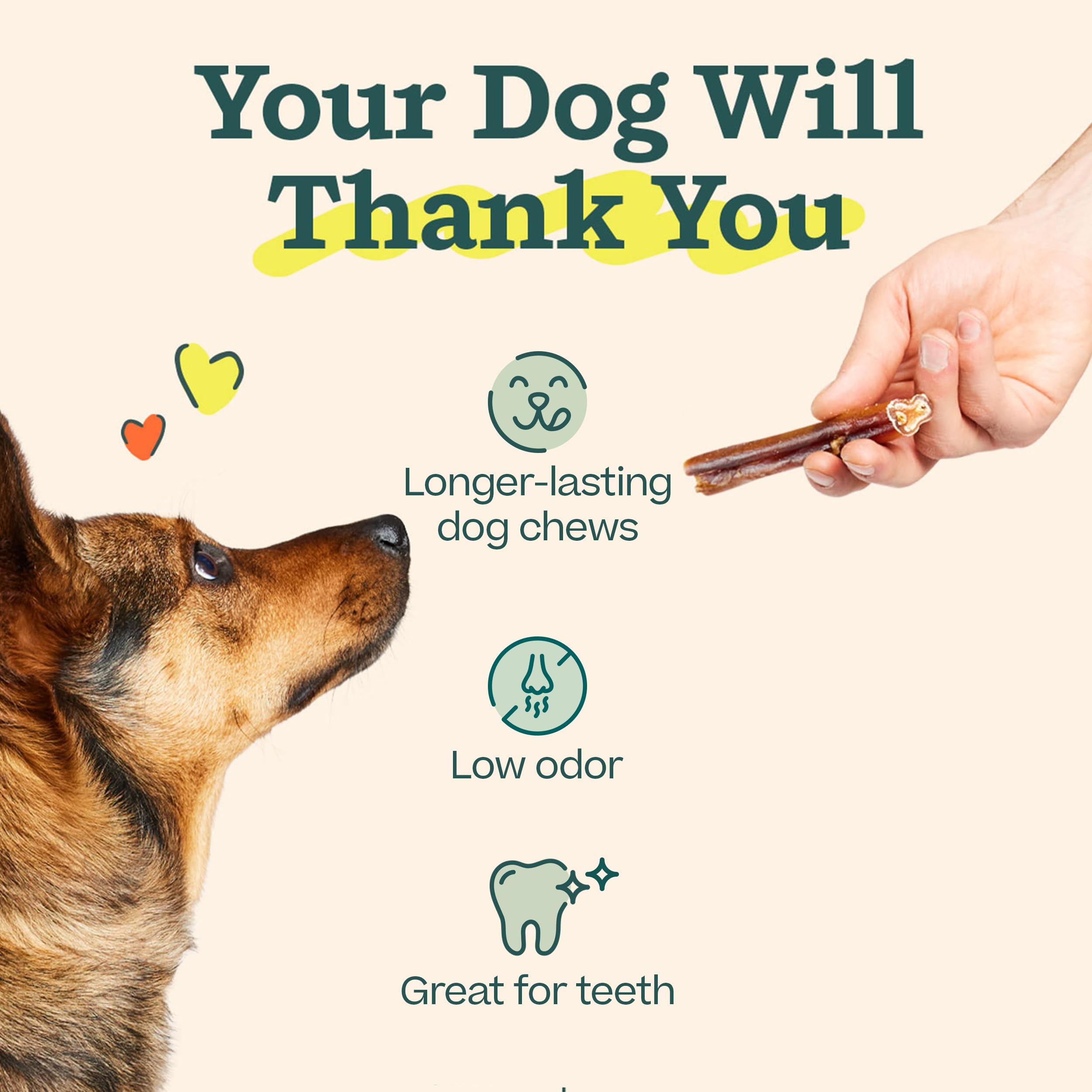 WOOF designed in Denver, Colorado, for safe, engaging dog play.