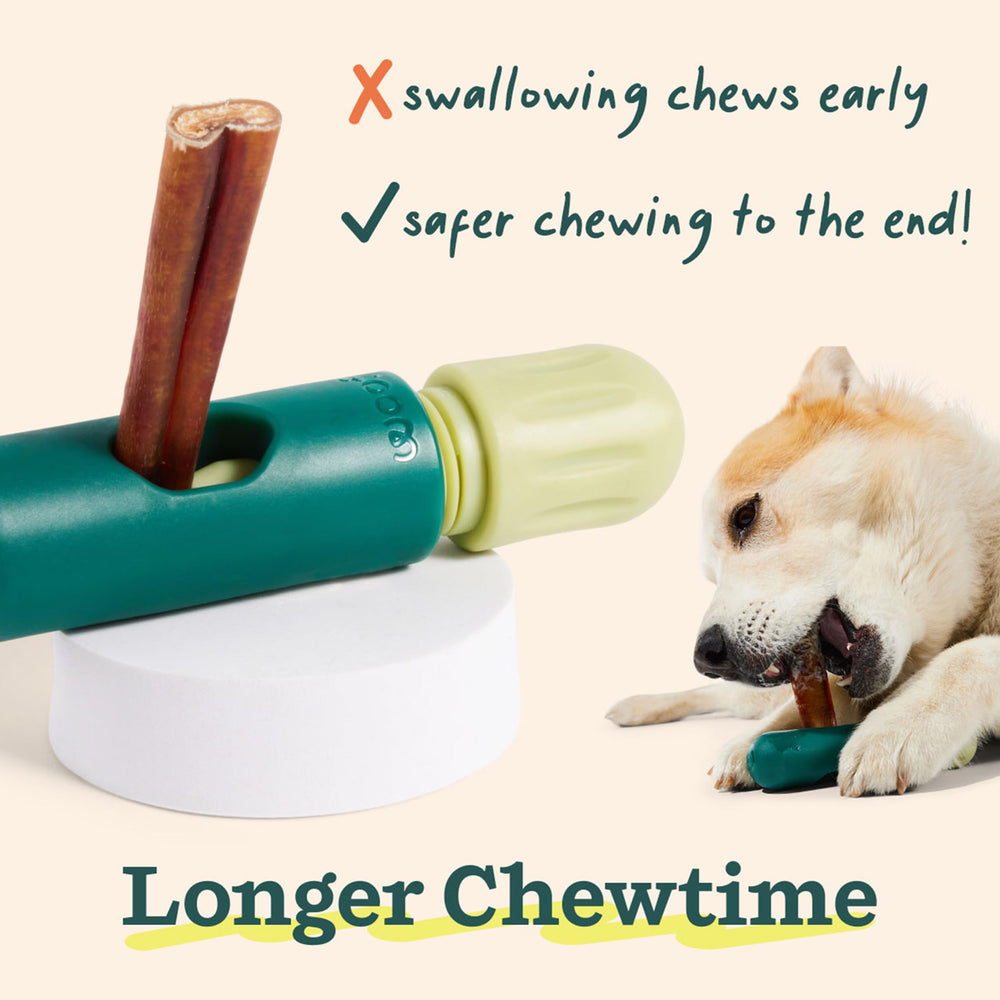 WOOF dog chew time with BullySafe and sticks promotes focused play.
