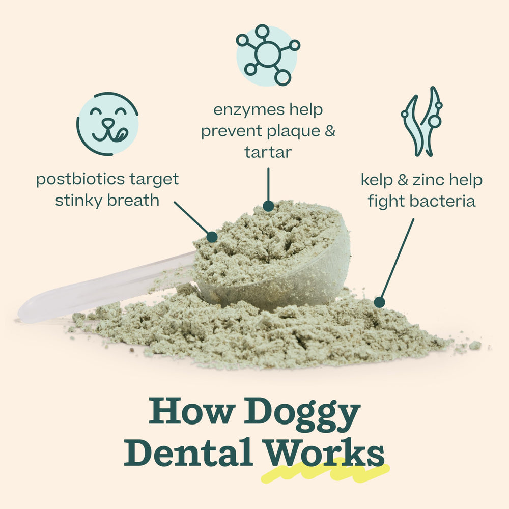 Woof Doggy Dental Pupsicle Mix breath-fresh results after a lick.