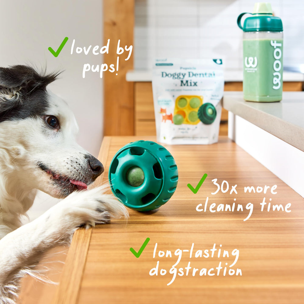 Woof Doggy Dental Pupsicle Mix enzyme blend supports oral cleanliness.