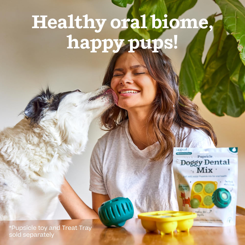 Woof Doggy Dental Pupsicle Mix twist-cap shows controlled dispensing.