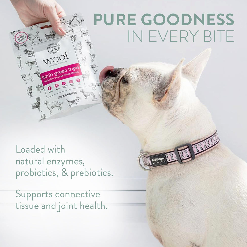 WOOF lamb green tripe being offered to a dog during feeding session.