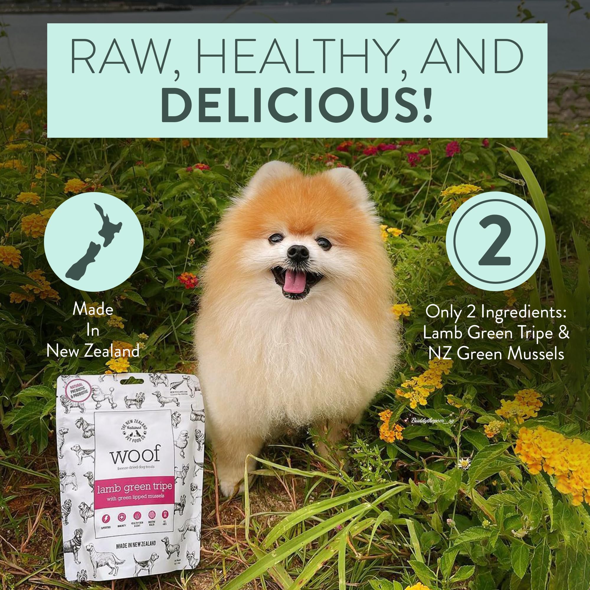 WOOF toppers add flavor to meals for a tasty boost.
