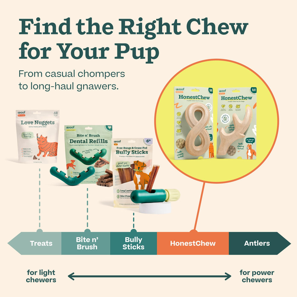WOOF HonestChew splinter-resistant claim, reassurance beside rawhide alternatives